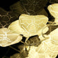 Home Decoration Diwali & Wedding LED String Light Indoor and Outdoor Light (1 Pc / Mix Design)