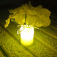 LED Mood Lights Bedroom Interior Decor Lighting (4 pcs Set)