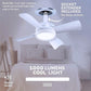 Original Cool LED Socket Fan Light 1000 Lumens 5000K Remote Controlled