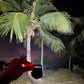 LED Battery Operated Keychain Flashlight with Folding Bracket (1 Pc)