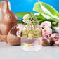 Baby Bloom Plastic Favor Boxes