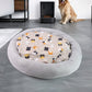 Carto Cat Lounge