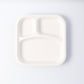 Dinner Plate