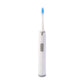 Dental Brush