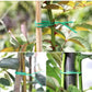 Garden Wire, Sturdy Plant Ties for Support, Garden Ties with Cutter (50 Mtr)