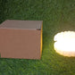 Decorative pearl shell lamp