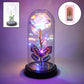 Dream Glow Eternal Rose