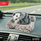 Cute car dashboard cat        
