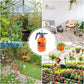 Water Sprayer Hand-held Pump Pressure Garden Sprayer - 2 L (Mix Color)