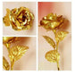 B Golden Rose is perfect for decorating homes, offices, cafes (3 Pc Set)