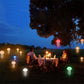 Creative LED home lamp        
