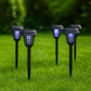 Garden Lights