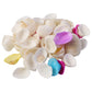 Sea Shell Assortment