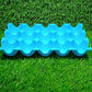 Egg tray with lid